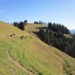 IMG_1740