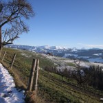 IMG_1908