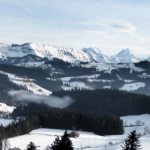 IMG_0021