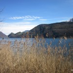 Am Alpnacher See entlang