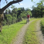 so das schlimmste ist vorbei, wieder im Oberfrittenbach