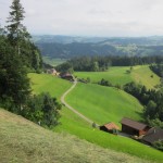 Gegen Mützlenberg zu