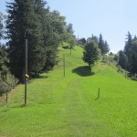 Blick zur Naturfrundenhütte