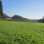 Unterwegs Richtung Grünenmatt